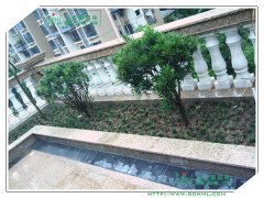 东莞绿化公司施工中私家阳台花园工程进展0716